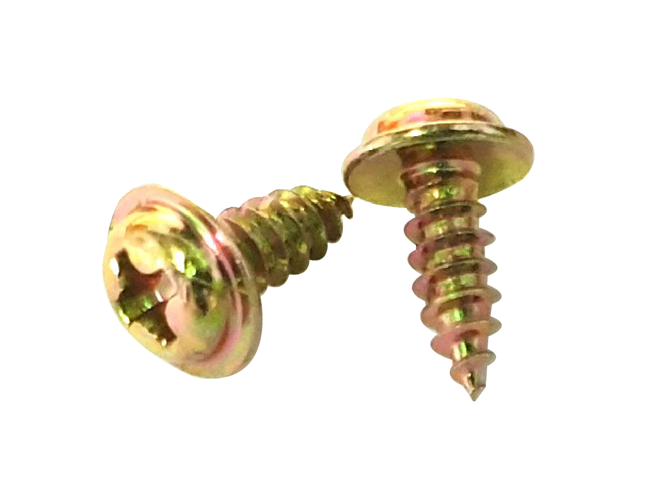 피형와샤붙이1종 [천연색]