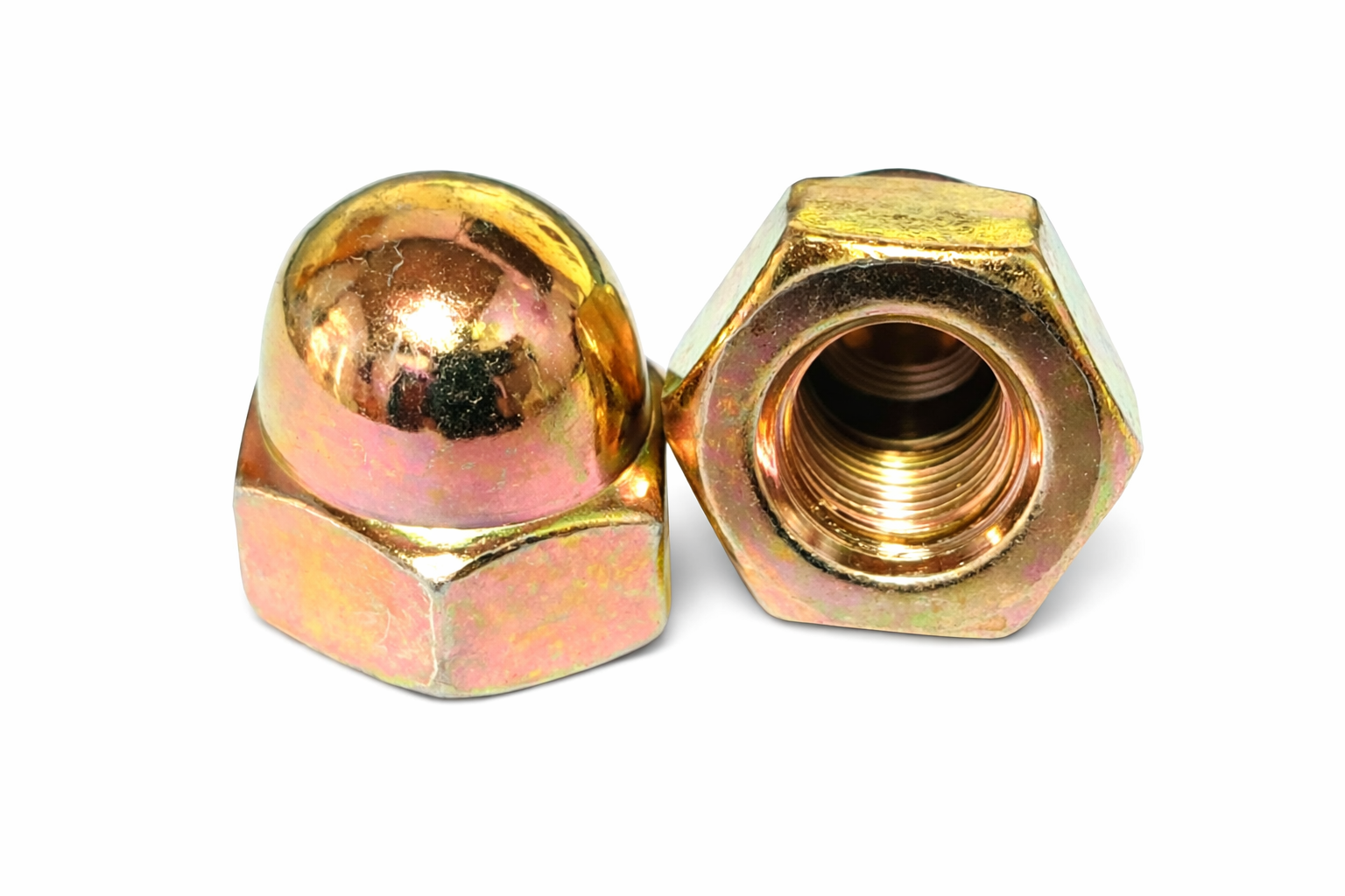 캡너트 [천연색]